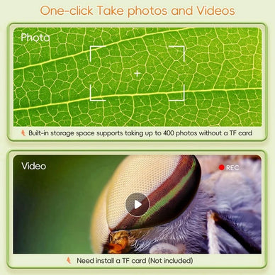 Unleash Your Child's Curiosity and Wonder